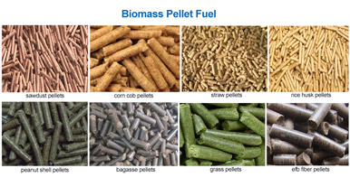 What raw materials can be used to make biomass pellets in Indonesia