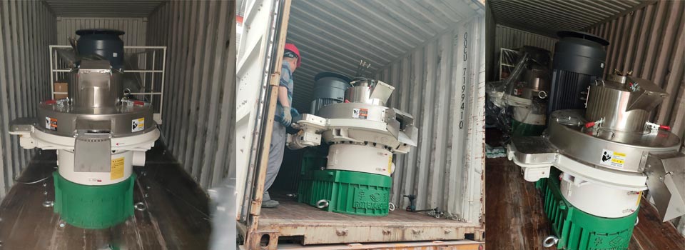 Delivery of 5t/h Wood Pellet Production line to Southeast Asia