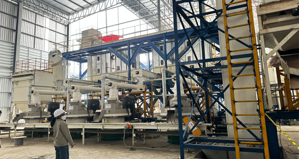 10t/h Agricultural Waste Biomass Pellet Production Line in Thailand