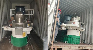 Delivery of 5t/h Wood Pellet Production line to Southeast Asia